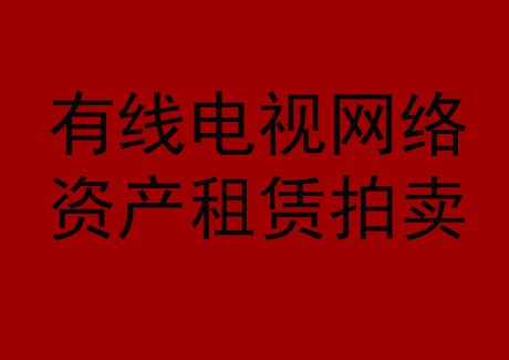 博望區(qū)有線電視網(wǎng)絡(luò)資產(chǎn)租賃拍賣(mài)公告